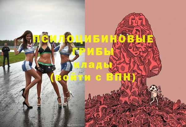 крисы Медвежьегорск