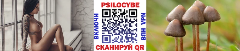 Галлюциногенные грибы прущие грибы  как найти наркотики  Абакан 