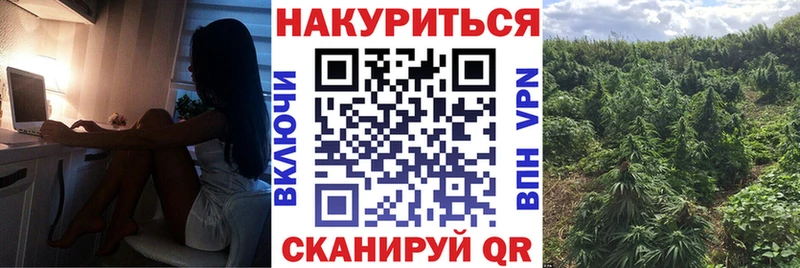 Конопля индика  Абакан 